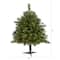 3ft. Pre-Lit Wyoming Mixed Pine Artificial Christmas Tree, Clear LED Lights